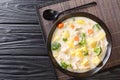 Winter Japanese Cream StewÃÂ is a mix of meat and vegetables cooked in a thickÃÂ whiteÃÂ roux close-up in a bowl. Horizontal top view